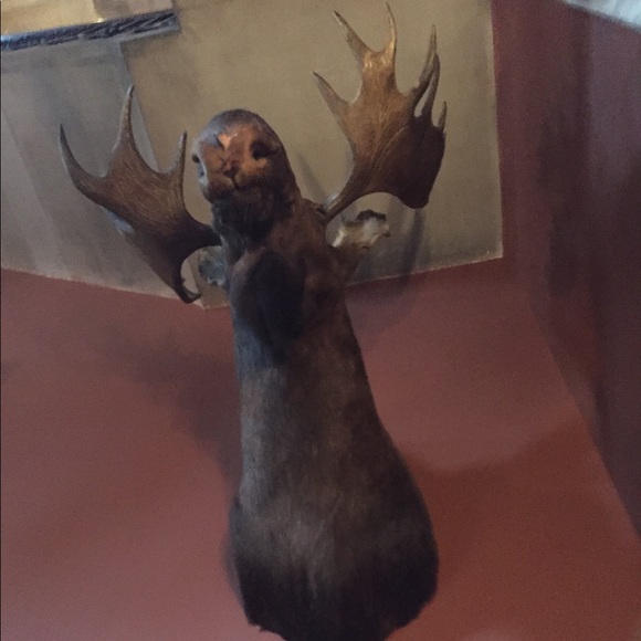 Meet your Posher, Ashley - Picture 1 of 1